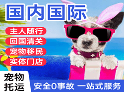 北戴河航空快运国际宠物托运 【国